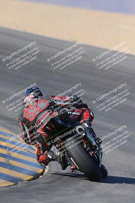 media/Nov-12-2023-SoCal Trackdays (Sun) [[5d1fba4e7d]]/Turn 10 Backside (115pm)/